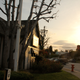 Image for article titled Shooting Challenge: Golden Hour